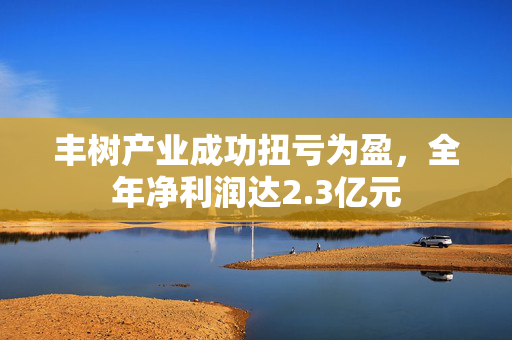 丰树产业成功扭亏为盈，全年净利润达2.3亿元