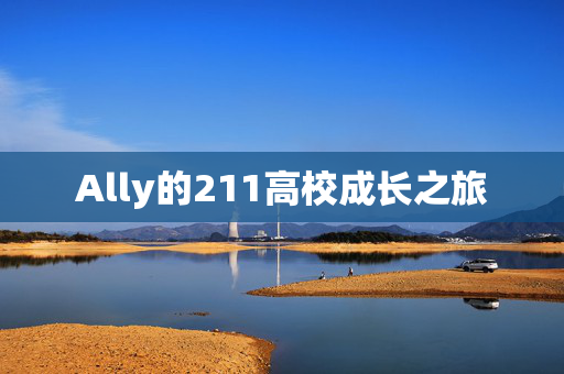 Ally的211高校成长之旅