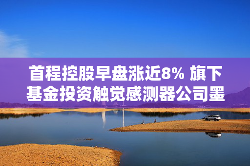 首程控股早盘涨近8% 旗下基金投资触觉感测器公司墨现科技
