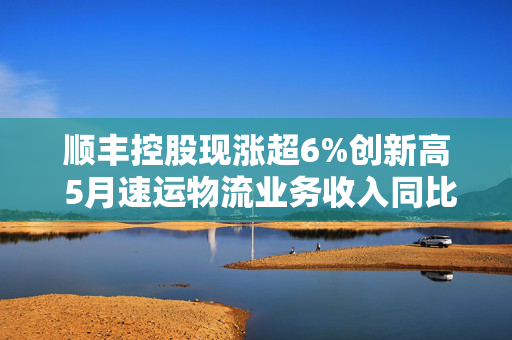 顺丰控股现涨超6%创新高 5月速运物流业务收入同比增长13.36%