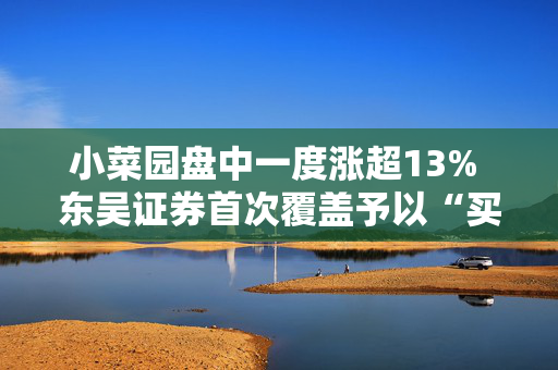 小菜园盘中一度涨超13% 东吴证券首次覆盖予以“买入”评级