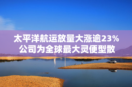 太平洋航运放量大涨逾23% 公司为全球最大灵便型散货船运营商