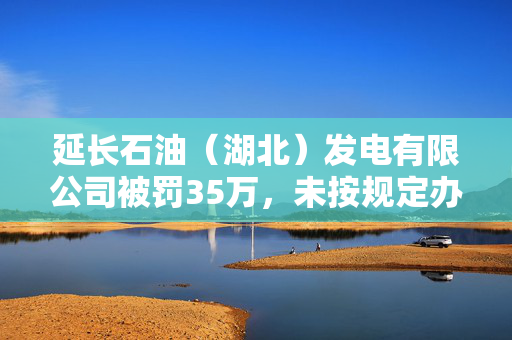 延长石油（湖北）发电有限公司被罚35万，未按规定办理工程质量监督手续