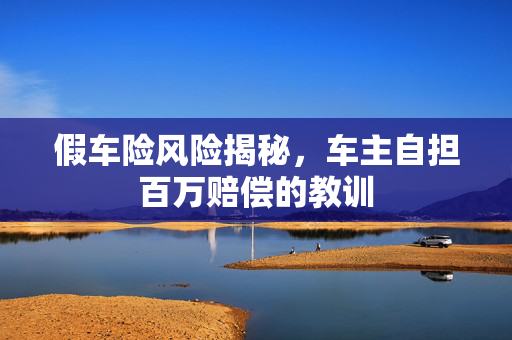 假车险风险揭秘，车主自担百万赔偿的教训