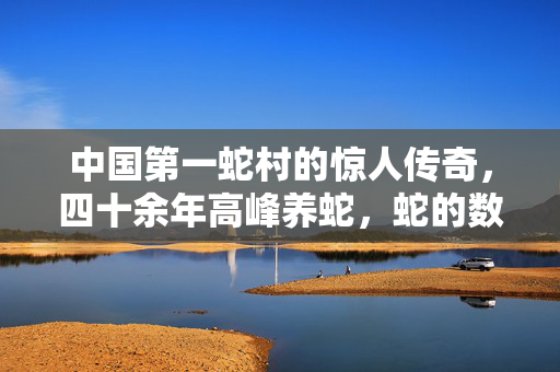 中国第一蛇村的惊人传奇，四十余年高峰养蛇，蛇的数量震撼人心
