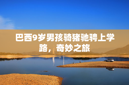 巴西9岁男孩骑猪驰骋上学路，奇妙之旅