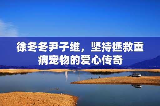 徐冬冬尹子维，坚持拯救重病宠物的爱心传奇