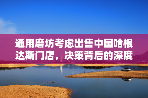 通用磨坊考虑出售中国哈根达斯门店，决策背后的深度分析与未来展望