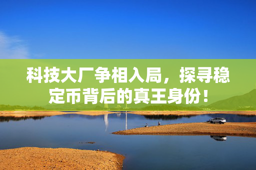科技大厂争相入局，探寻稳定币背后的真王身份！