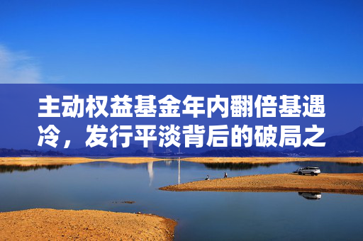 主动权益基金年内翻倍基遇冷，发行平淡背后的破局之道