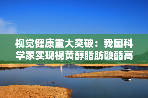 视觉健康重大突破：我国科学家实现视黄醇脂肪酸酯高效合成