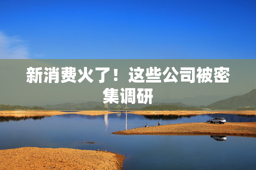 新消费火了！这些公司被密集调研
