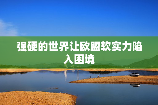 强硬的世界让欧盟软实力陷入困境