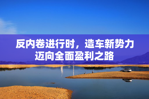 反内卷进行时，造车新势力迈向全面盈利之路