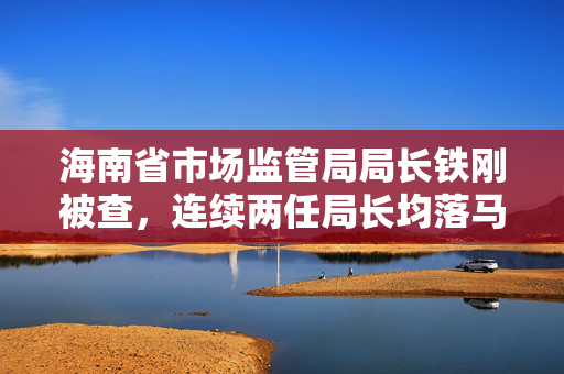 海南省市场监管局局长铁刚被查，连续两任局长均落马