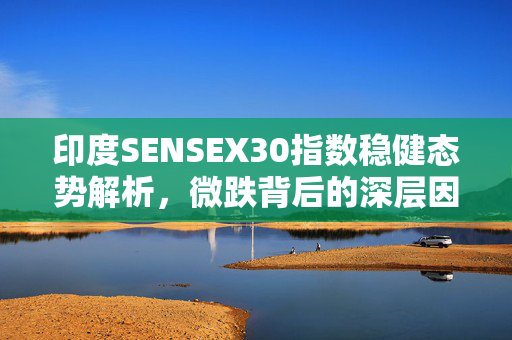 印度SENSEX30指数稳健态势解析，微跌背后的深层因素探讨