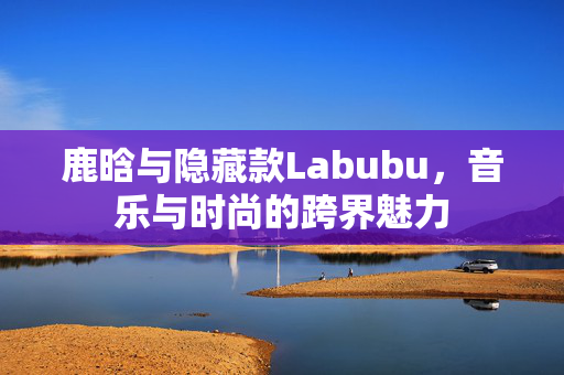 鹿晗与隐藏款Labubu，音乐与时尚的跨界魅力