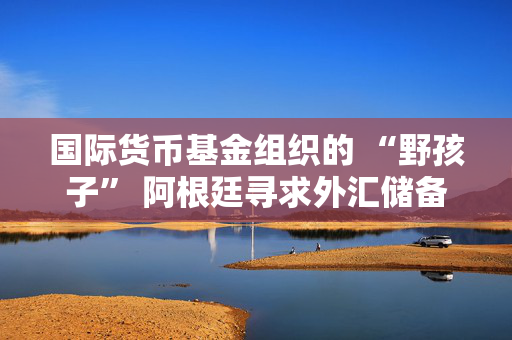 国际货币基金组织的 “野孩子” 阿根廷寻求外汇储备目标豁免