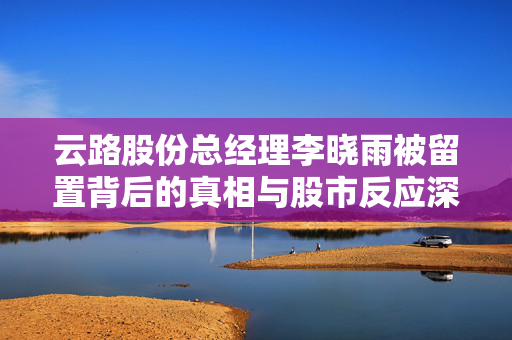 云路股份总经理李晓雨被留置背后的真相与股市反应深度探究，股价跌超5%的真相与影响分析