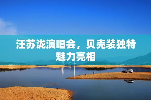 汪苏泷演唱会，贝壳装独特魅力亮相