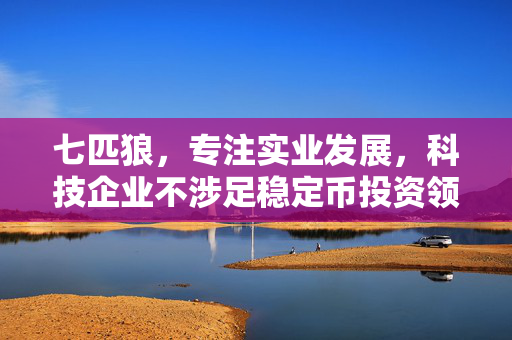 七匹狼，专注实业发展，科技企业不涉足稳定币投资领域
