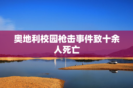 奥地利校园枪击事件致十余人死亡