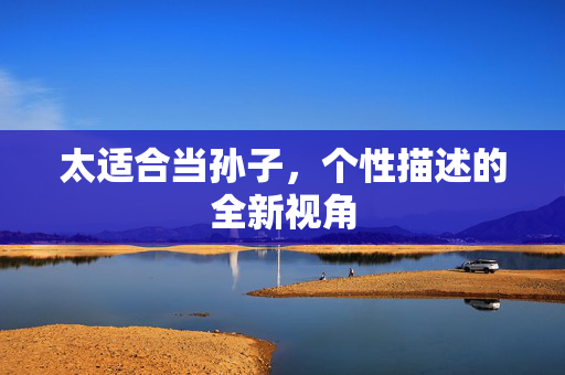太适合当孙子，个性描述的全新视角