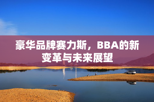豪华品牌赛力斯，BBA的新变革与未来展望