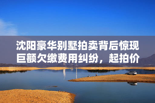 沈阳豪华别墅拍卖背后惊现巨额欠缴费用纠纷，起拍价高达四百万