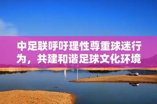 中足联呼吁理性尊重球迷行为，共建和谐足球文化环境