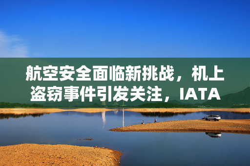航空安全面临新挑战，机上盗窃事件引发关注，IATA探讨应对策略