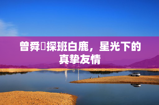 曾舜晞探班白鹿，星光下的真挚友情