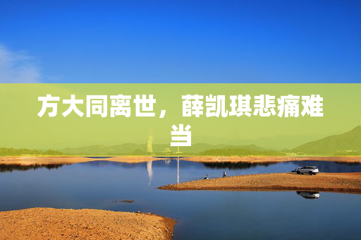 方大同离世，薛凯琪悲痛难当