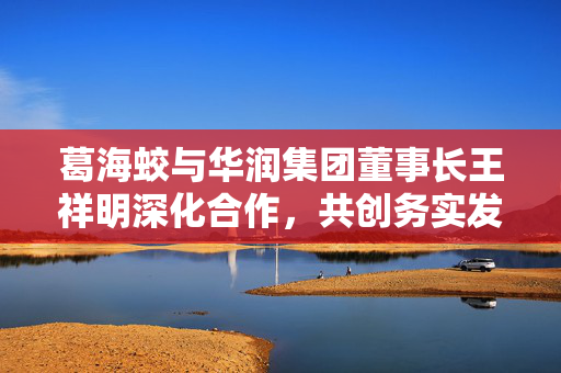 葛海蛟与华润集团董事长王祥明深化合作，共创务实发展新篇章