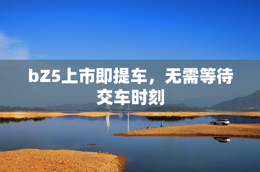 bZ5上市即提车，无需等待交车时刻