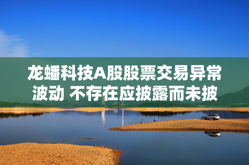 龙蟠科技A股股票交易异常波动 不存在应披露而未披露重大信息