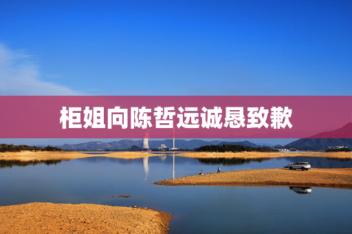 柜姐向陈哲远诚恳致歉