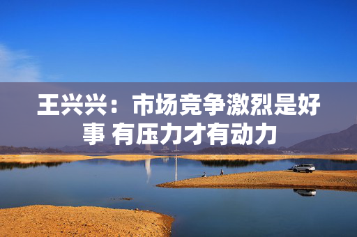 王兴兴：市场竞争激烈是好事 有压力才有动力