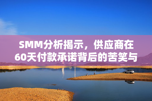 SMM分析揭示，供应商在60天付款承诺背后的苦笑与期盼