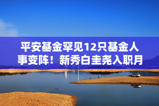 平安基金罕见12只基金人事变阵！新秀白圭尧入职月余掌舵9只基金，钱晶卸任3只基金