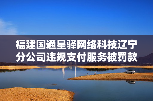 福建国通星驿网络科技辽宁分公司违规支付服务被罚款6万元