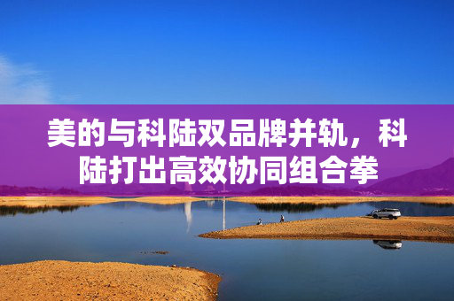美的与科陆双品牌并轨，科陆打出高效协同组合拳