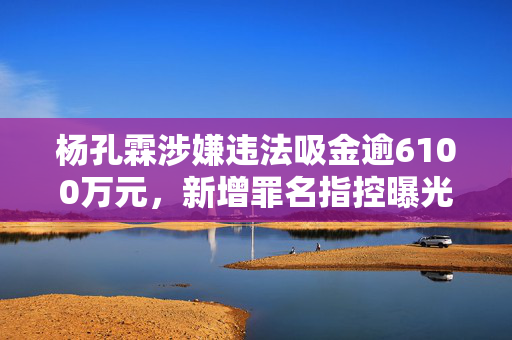 杨孔霖涉嫌违法吸金逾6100万元，新增罪名指控曝光