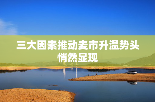 三大因素推动麦市升温势头悄然显现