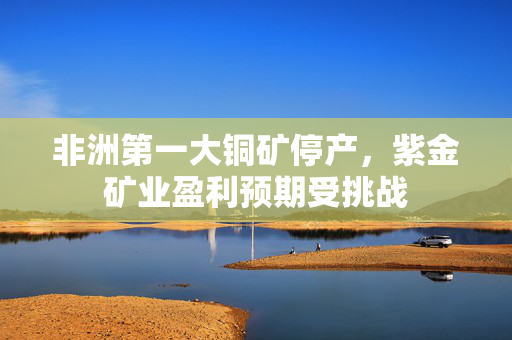 非洲第一大铜矿停产，紫金矿业盈利预期受挑战