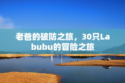 老爸的破防之旅，30只Labubu的冒险之旅