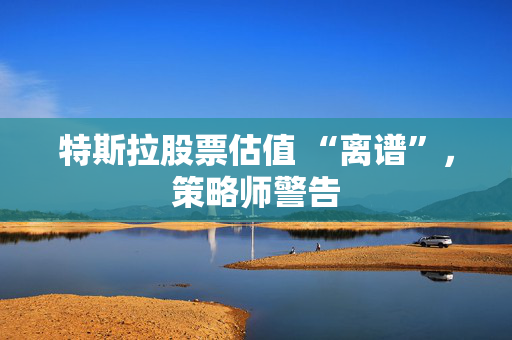 特斯拉股票估值 “离谱”，策略师警告