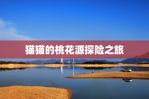 猫猫的桃花源探险之旅