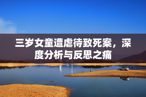 三岁女童遭虐待致死案，深度分析与反思之痛