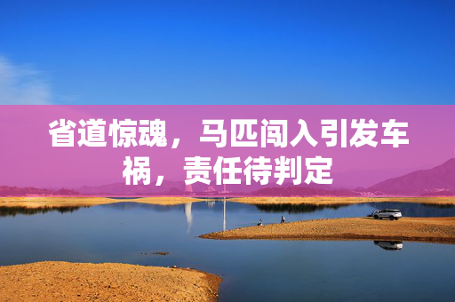 省道惊魂，马匹闯入引发车祸，责任待判定